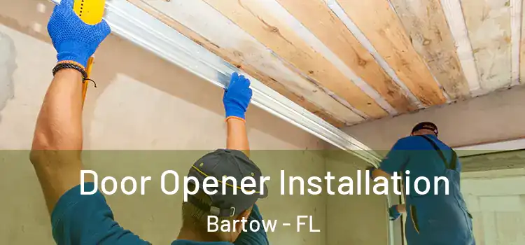 Door Opener Installation Bartow - FL