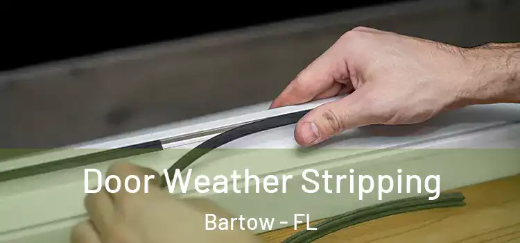 Door Weather Stripping Bartow - FL