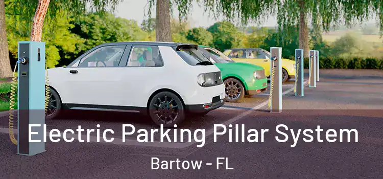 Electric Parking Pillar System Bartow - FL