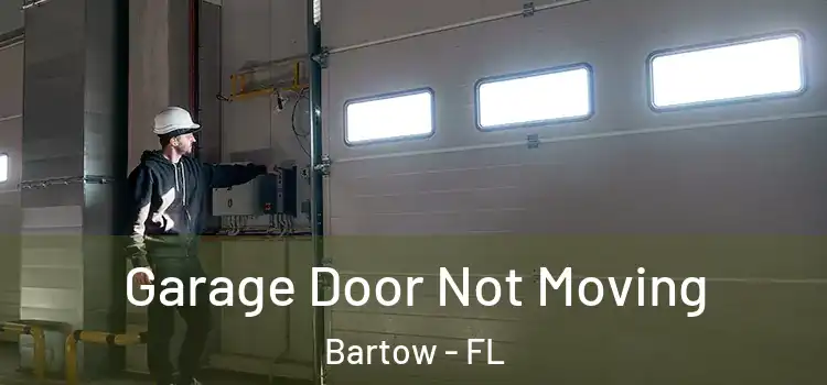  Garage Door Not Moving Bartow - FL
