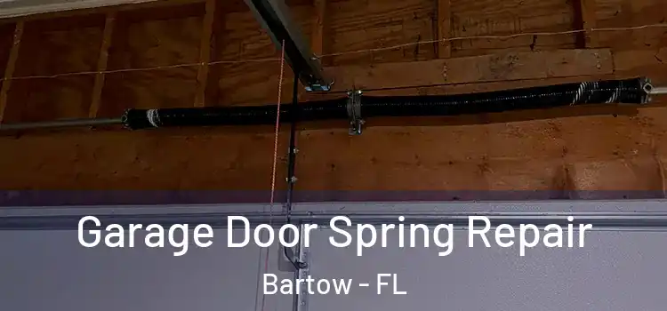  Garage Door Spring Repair Bartow - FL