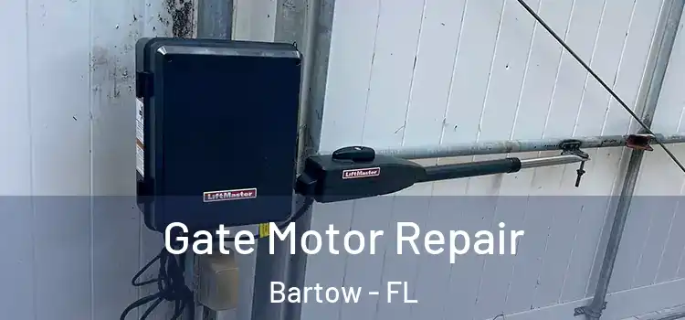 Gate Motor Repair Bartow - FL