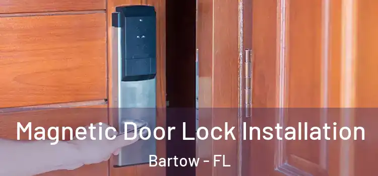  Magnetic Door Lock Installation Bartow - FL