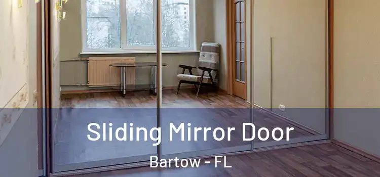  Sliding Mirror Door Bartow - FL
